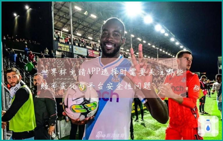 世界杯竞猜APP选择时需要关注哪些赔率变化与平台安全性问题