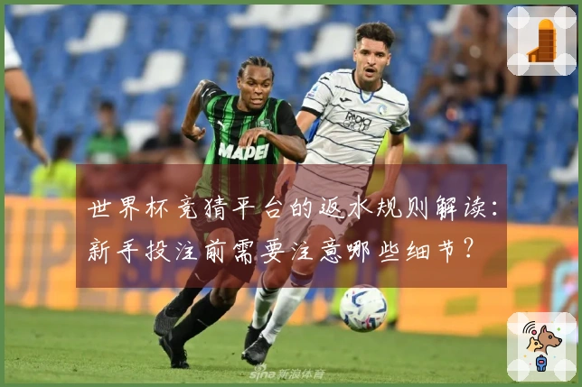 世界杯竞猜平台的返水规则解读：新手投注前需要注意哪些细节？